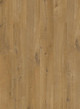 AVMPU40203_Topshot.jpg.jpeg AVMPU40203_Topshot.jpg.jpeg